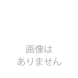 【祝花/供花】おまかせプリザ　アレンジメント　No.8007